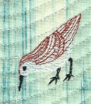 sandpiper embroidery design