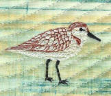 embroidery sandpiper